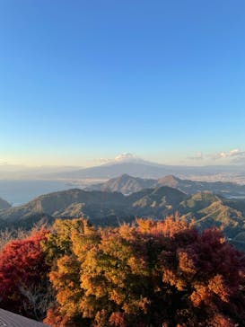 伊豆パノラマパークに投稿された画像（2021/11/27）