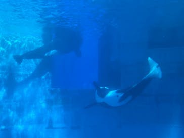 名古屋港水族館に投稿された画像（2021/11/27）