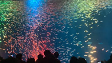 名古屋港水族館に投稿された画像（2021/11/27）