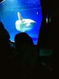 サンシャイン水族館に投稿された画像（2021/11/27）