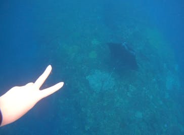 マリンショップtaitaiに投稿された画像（2021/11/27）