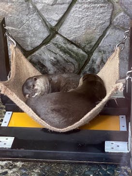 伊豆・三津シーパラダイスに投稿された画像（2021/11/27）