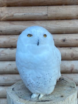 伊豆・三津シーパラダイスに投稿された画像（2021/11/27）