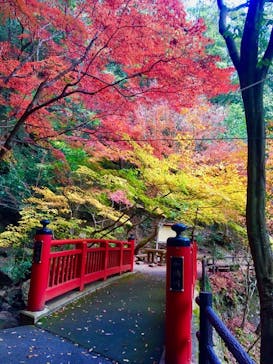 アソビュー株式会社　150881に投稿された画像（2021/11/27）