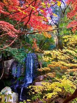 アソビュー株式会社　150881に投稿された画像（2021/11/27）