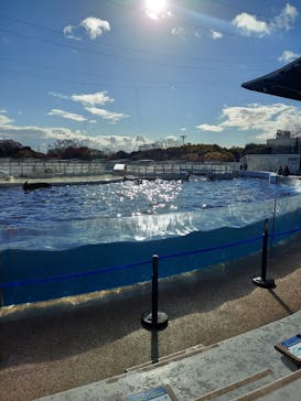 京都水族館に投稿された画像（2021/11/27）