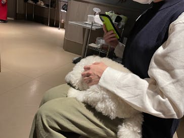 Moff animal world MARK IS みなとみらい店に投稿された画像（2021/11/27）