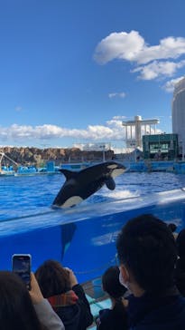 名古屋港水族館に投稿された画像（2021/11/27）