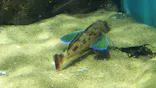 仙台うみの杜水族館に投稿された画像（2021/11/27）
