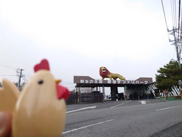 那須サファリパークに投稿された画像（2021/11/27）