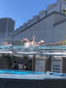 サンシャイン水族館に投稿された画像（2021/11/27）