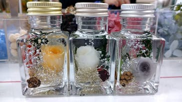 ずこうしつ〜sugamo〜に投稿された画像（2021/11/27）