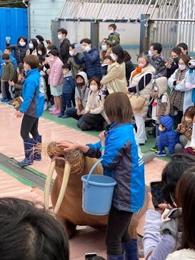 ゼロ距離水族館 伊勢シーパラダイスに投稿された画像（2021/11/27）
