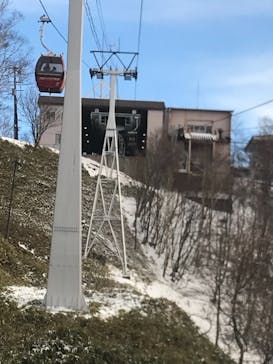 のぼりべつクマ牧場に投稿された画像（2021/11/27）