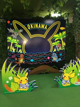 美らヤシパークオキナワ・東南植物楽園に投稿された画像（2021/11/27）