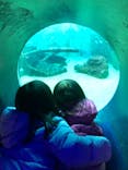 箱根園水族館に投稿された画像（2021/11/27）