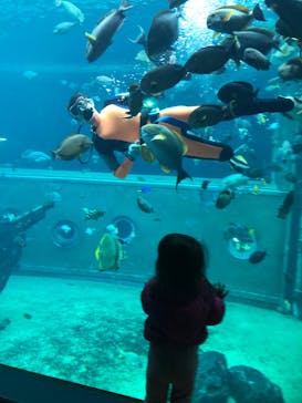 箱根園水族館に投稿された画像（2021/11/27）