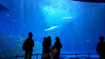名古屋港水族館に投稿された画像（2021/11/27）