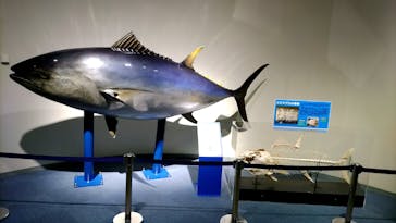 名古屋港水族館に投稿された画像（2021/11/27）