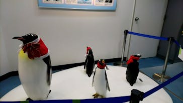 名古屋港水族館に投稿された画像（2021/11/27）