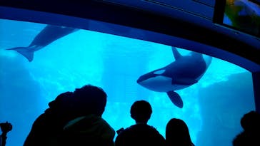 名古屋港水族館に投稿された画像（2021/11/27）