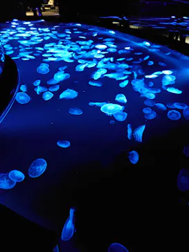 すみだ水族館に投稿された画像（2021/11/27）