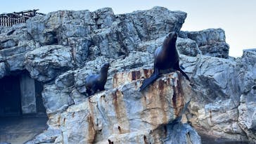 大分マリーンパレス水族館 「うみたまご」に投稿された画像（2021/11/27）