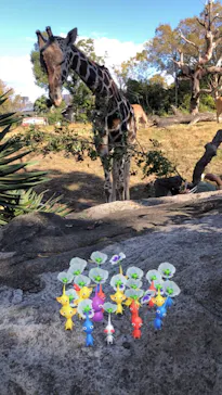 天王寺動物園に投稿された画像（2021/11/27）