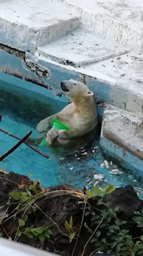 天王寺動物園に投稿された画像（2021/11/27）