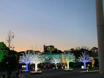 東京メガイルミに投稿された画像（2021/11/27）