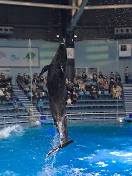 マクセル アクアパーク品川に投稿された画像（2021/11/27）