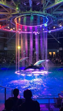 マクセル アクアパーク品川に投稿された画像（2021/11/27）