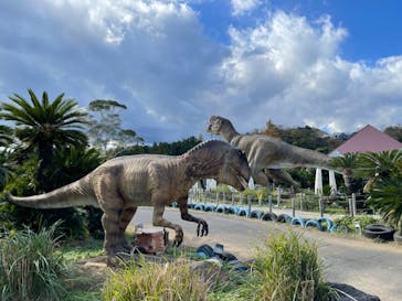 伊豆ぐらんぱる公園に投稿された画像（2021/11/27）