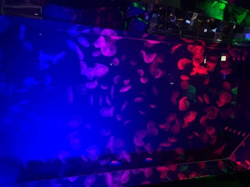 名古屋港水族館に投稿された画像（2021/11/27）