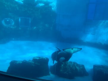 名古屋港水族館に投稿された画像（2021/11/27）
