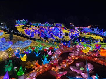 伊豆ぐらんぱる公園に投稿された画像（2021/11/27）