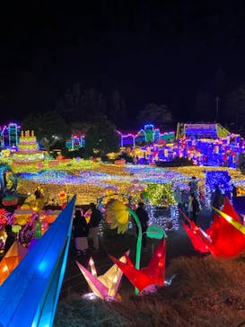 伊豆ぐらんぱる公園に投稿された画像（2021/11/27）
