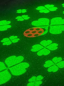 伊豆ぐらんぱる公園に投稿された画像（2021/11/27）