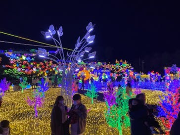 伊豆ぐらんぱる公園に投稿された画像（2021/11/27）