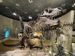 国立科学博物館に投稿された画像（2021/11/27）
