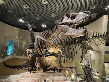 国立科学博物館に投稿された画像（2021/11/27）