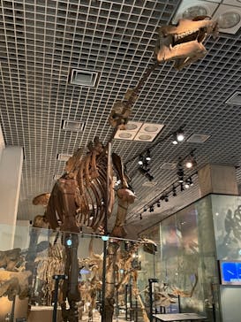 国立科学博物館に投稿された画像（2021/11/27）