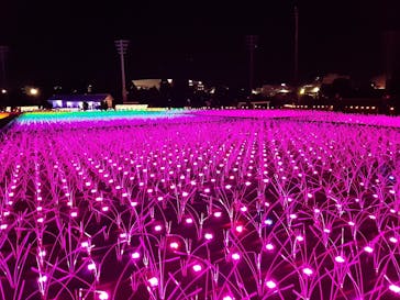 東京メガイルミに投稿された画像（2021/11/27）