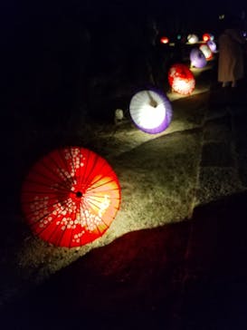 よみうりランド HANA･BIYORIに投稿された画像（2021/11/27）