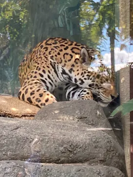 天王寺動物園に投稿された画像（2021/11/27）
