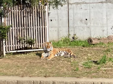 天王寺動物園に投稿された画像（2021/11/27）