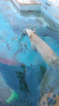 天王寺動物園に投稿された画像（2021/11/27）