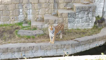 天王寺動物園に投稿された画像（2021/11/27）