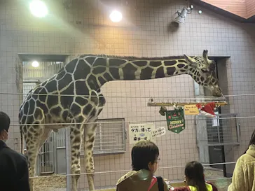 天王寺動物園に投稿された画像（2021/11/27）