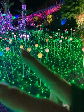 伊豆ぐらんぱる公園に投稿された画像（2021/11/27）